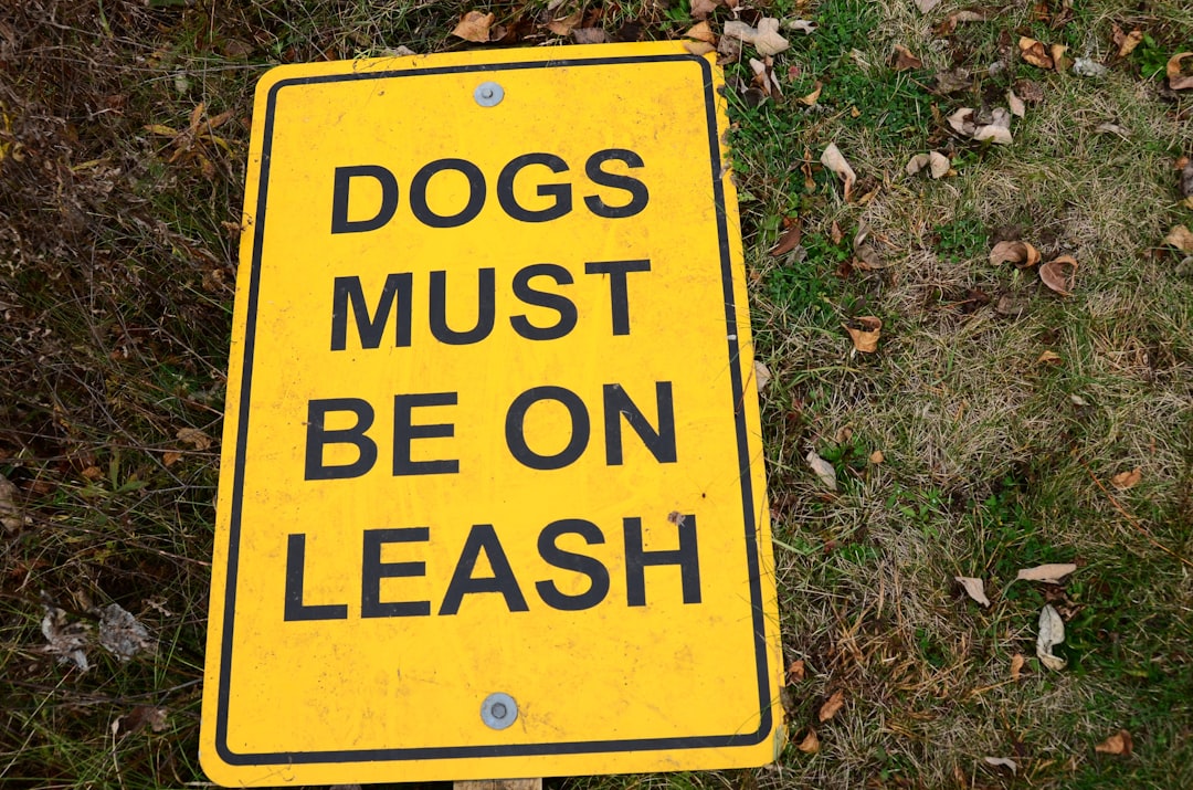 dog owner liability