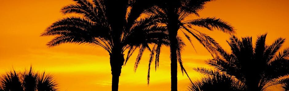 florida alcohol laws