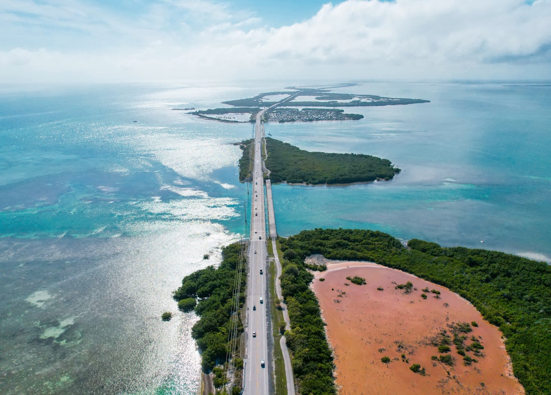 Uninsured motorist claim Florida