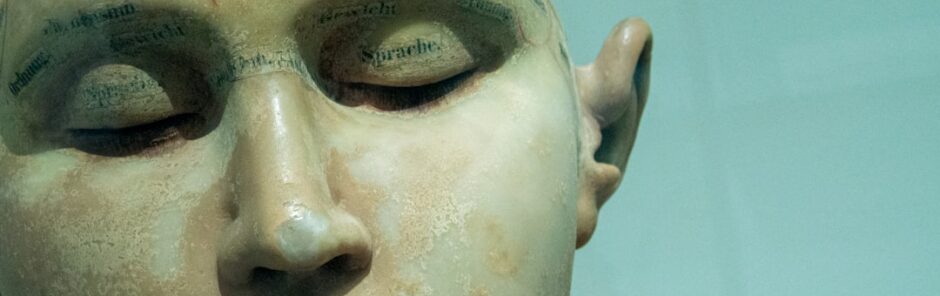 moderate brain injury