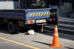 injured truck lawyer