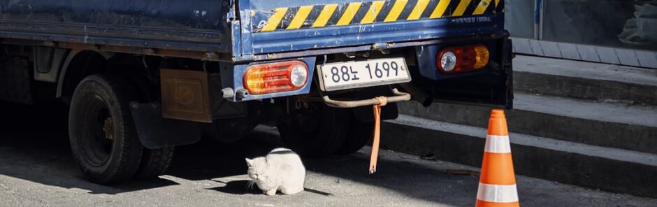 injured truck lawyer